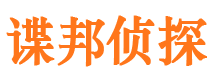 岭东市私家侦探